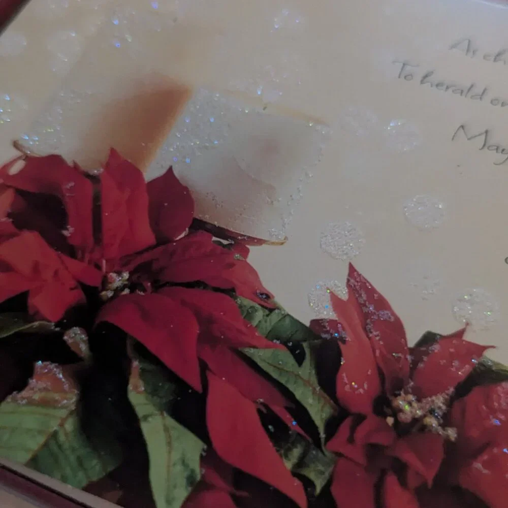 NWT 16 Poinsettias American Greetings Christmas Cards Sealed Religious Holiday